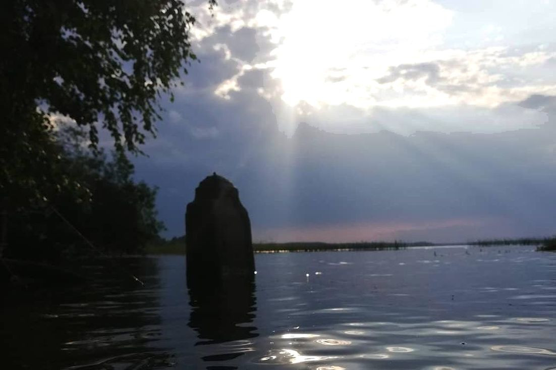 чудовище на озере в тверской области