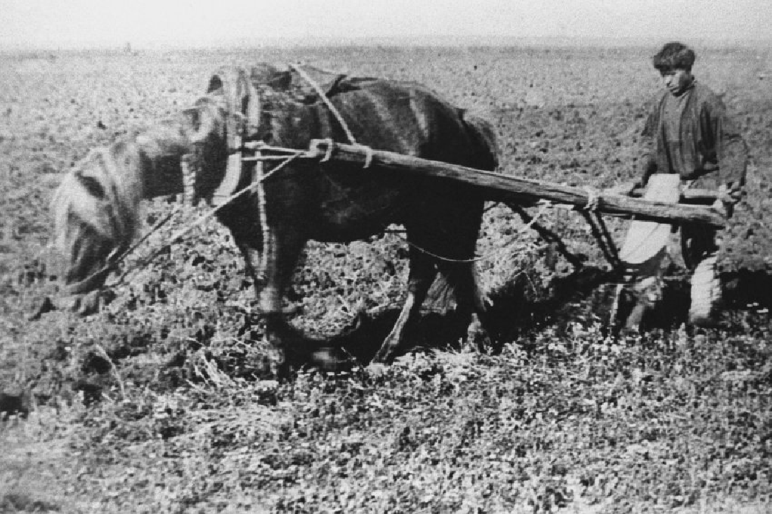 100 лет назад: тверское крестьянство против советской власти - Караван  Ярмарка