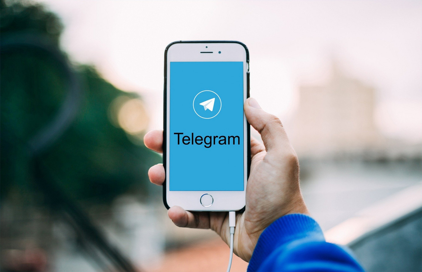 Подпишитесь на telegram-канал 