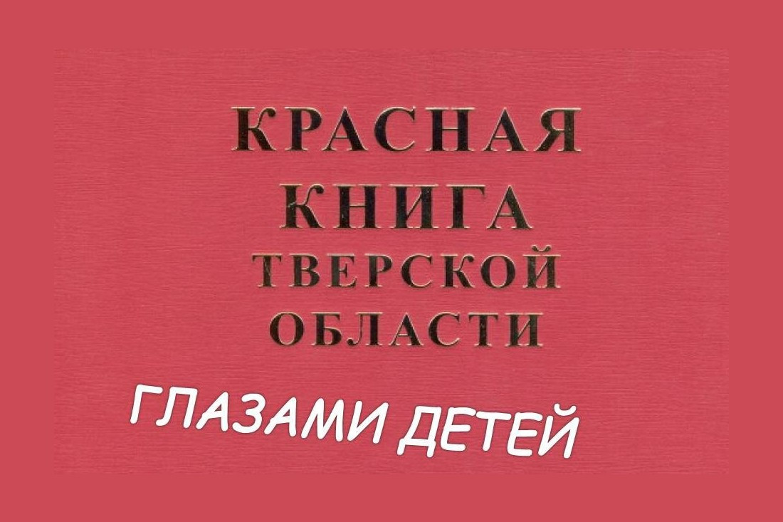 Красная книга тверской области фото