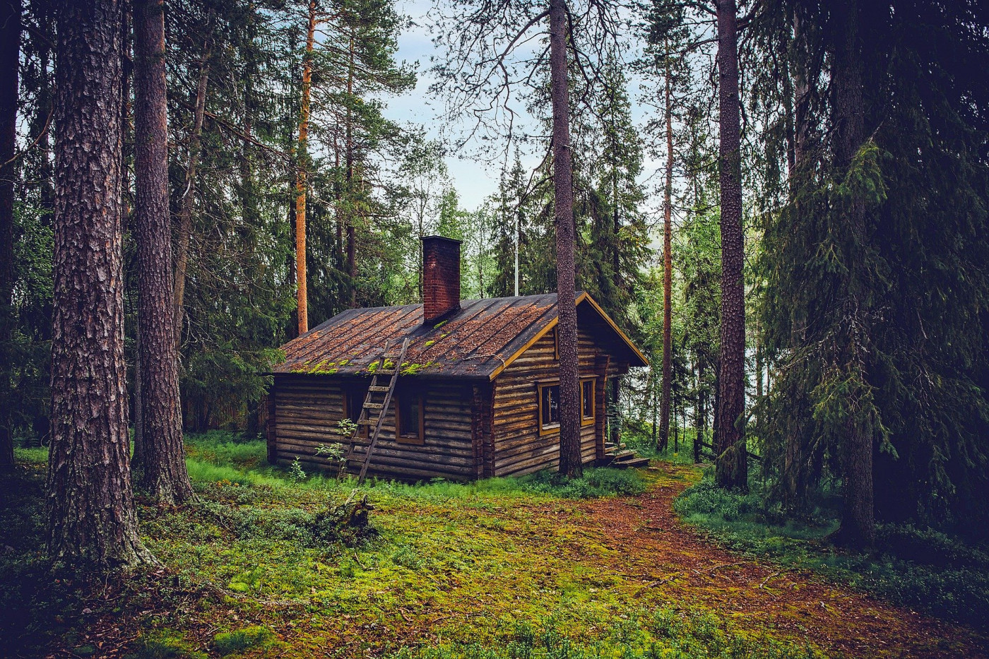 Боровецкий лес дом отшельника