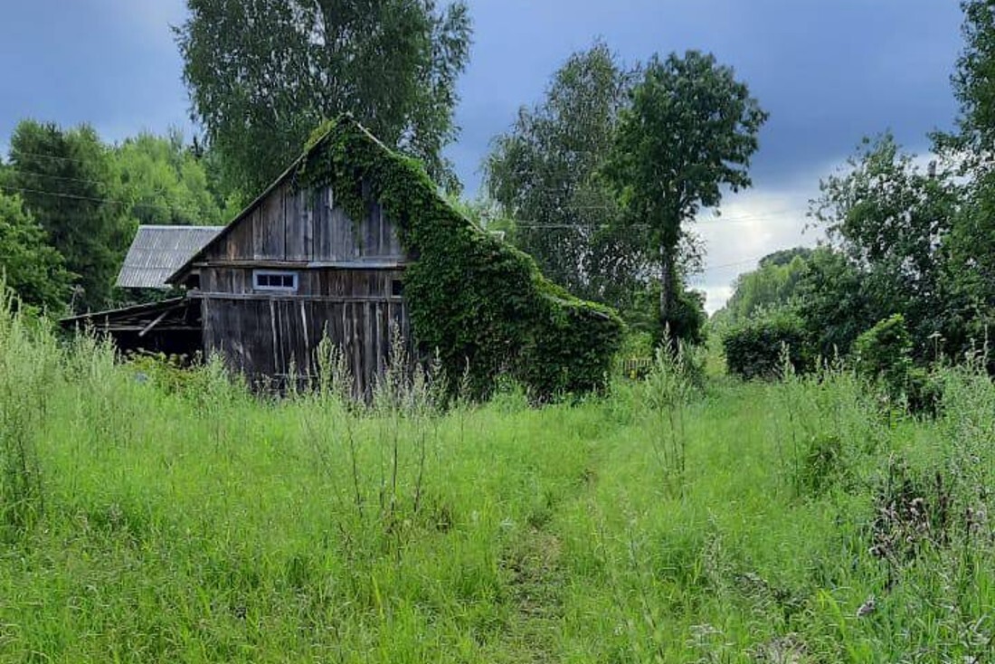 Село убитое. Тверская область, опустевшие деревни. Фотосессия в деревне. Девушки из деревни. Грядцы Торопецкий район.