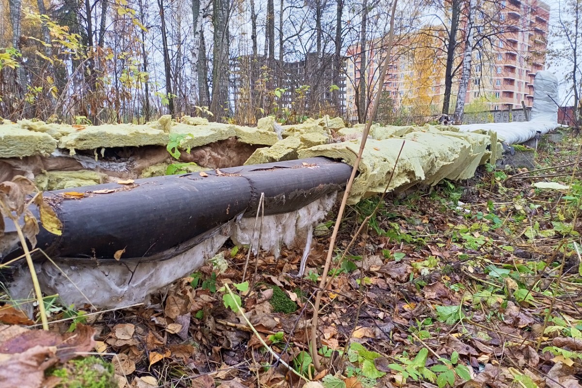 Погода новозавидово тверская область