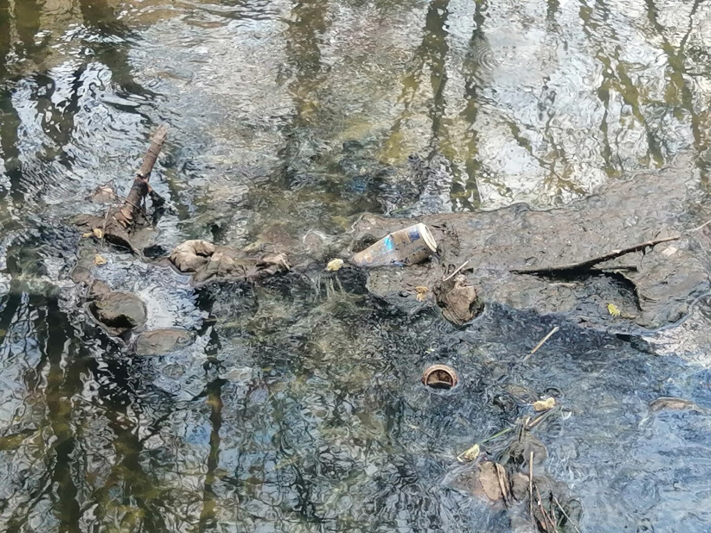 Вода с фекалиями. Река Соминка Тверь. Ручей. Фекальная вода.