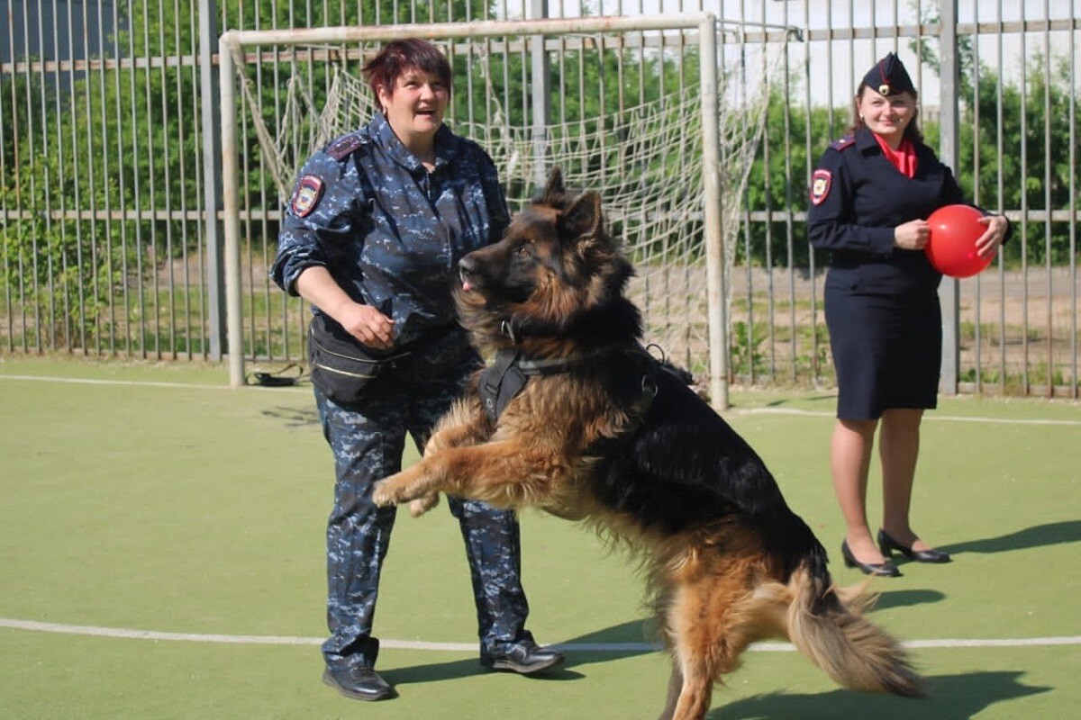 Полицейский кинолог. Кинолог в полиции. Полицейский кинолог вакансии.