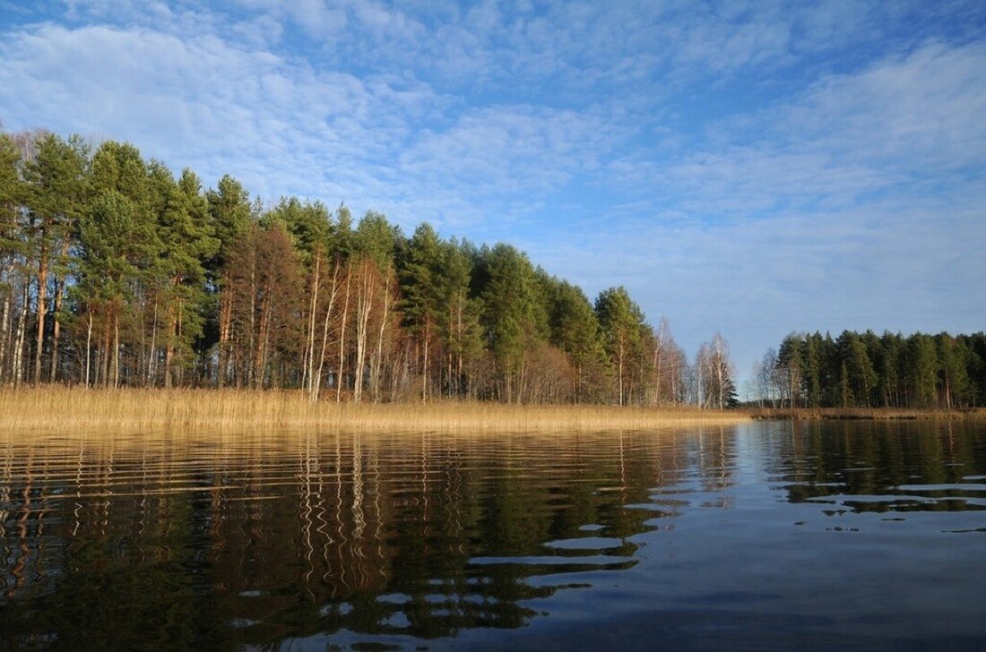 Вышневолоцкое водохранилище вышний волочек