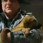 полицейский и пес