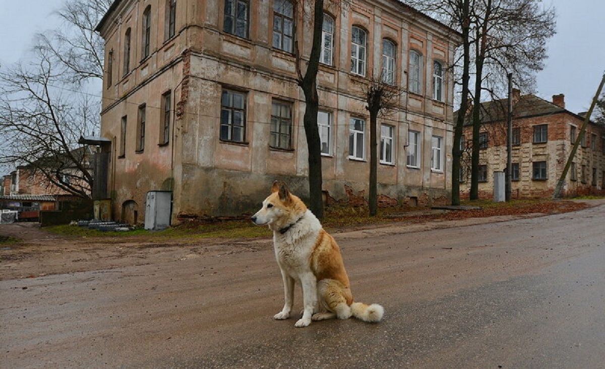 Белый остров в греции санторини. Город где все белое. Город где все белое. Санторини греция. Ойя санторини.