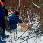 попала в капкан