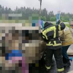 произошло смертельное ДТП
