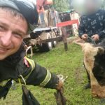 бычок попал в колодец