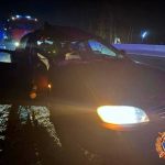 ДТП с участием лося