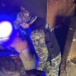 тела двух человек