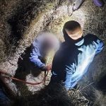 оказался в западне