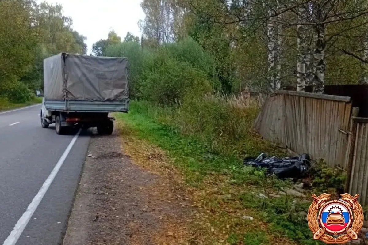 Тетечки делают домашнее фото. Вот и появились снимки волосатых пись Тетечки делают домашнее фото. Вот и появились снимки волосатых пись
